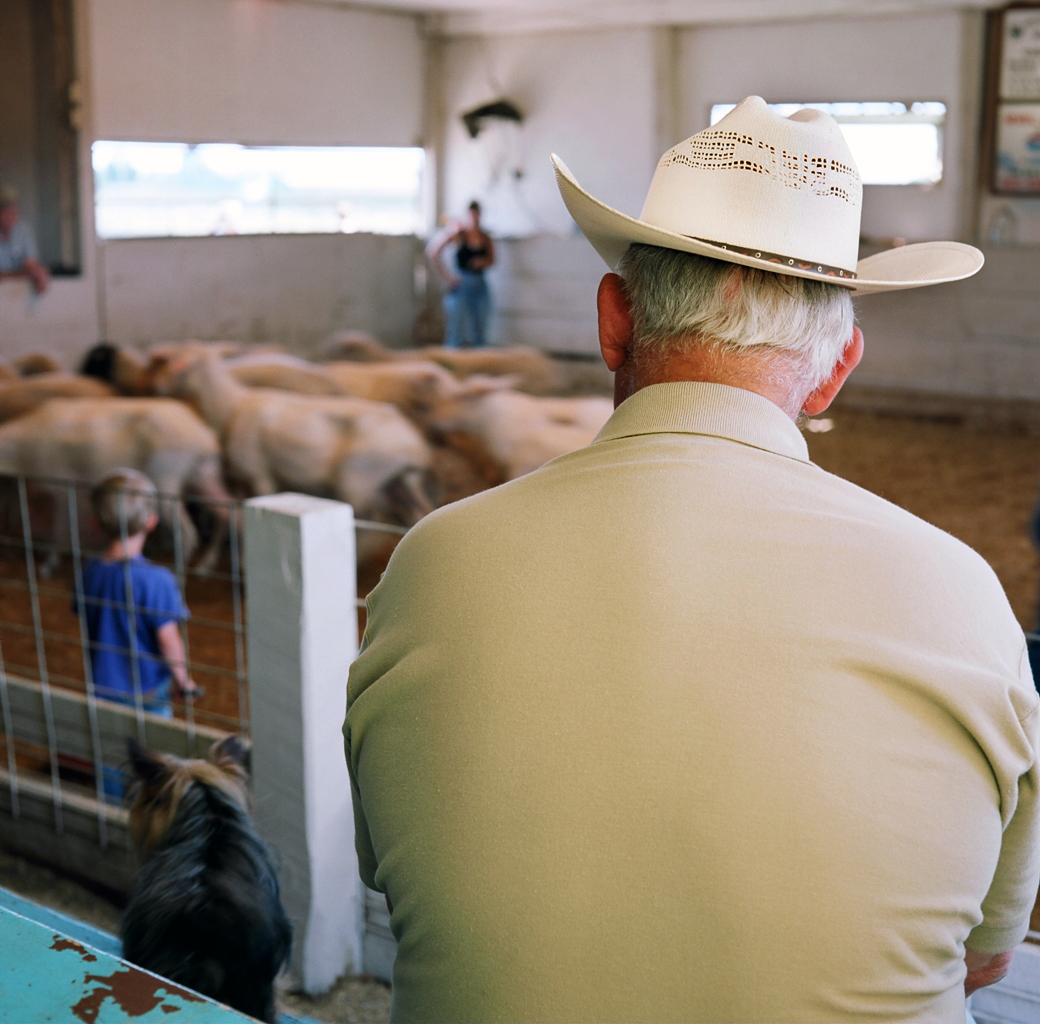 The Brown Revolution Increasing Agricultural Productivity Naturally